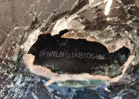 2019 Honda Odyssey Ex-L z USA, uszkodzony, nr VIN 5FNRL6H71KB106447